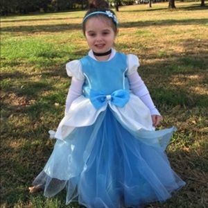 Cinderella Costume